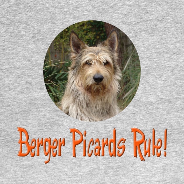 Berger Picards Rule! by Naves